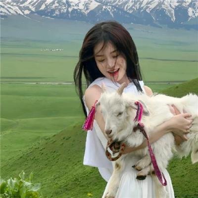 美国泡菜