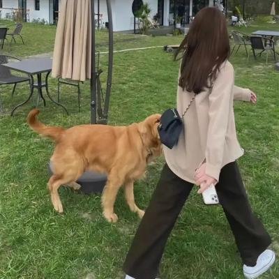 我们生活的年代
