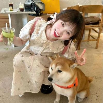 小莫莉大冒险